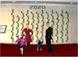 vegetation murale
